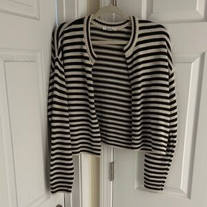 Splendid size medium